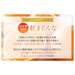 ふるさと納税 果物類 みかん 愛媛県 今治市 ...の詳細画像3