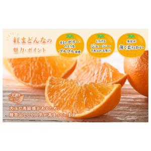 ふるさと納税 果物類 みかん 愛媛県 今治市 ...の詳細画像4