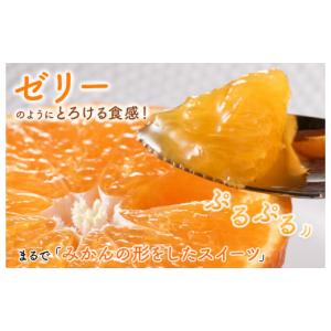 ふるさと納税 果物類 みかん 愛媛県 今治市 ...の詳細画像5