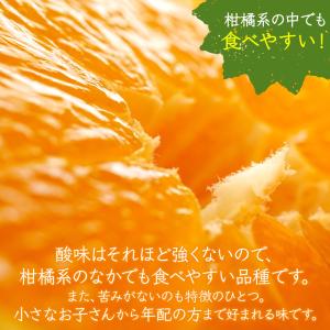 不知火 デコポン同品種 秀品 3.5~4.0k...の詳細画像3