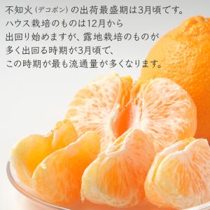 不知火 デコポン同品種 秀品 3.5~4.0k...の詳細画像5
