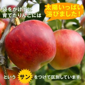 りんご 3kg 7~10玉 特選 秀品 早生ふ...の詳細画像4