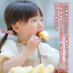 りんご 3kg 7~10玉 特選 秀品 早生ふ...の詳細画像5