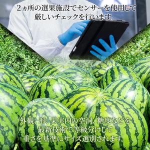 スイカ 大玉 3L 7~9kg Aランク 高級...の詳細画像2