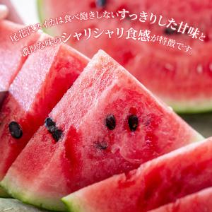 スイカ 大玉 3L 7~9kg Aランク 高級...の詳細画像4