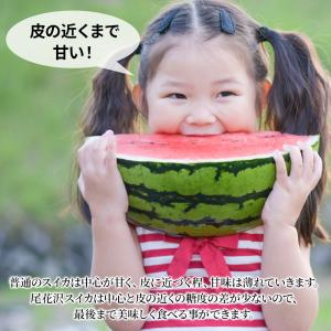 スイカ 大玉 3L 7~9kg Aランク 高級...の詳細画像5