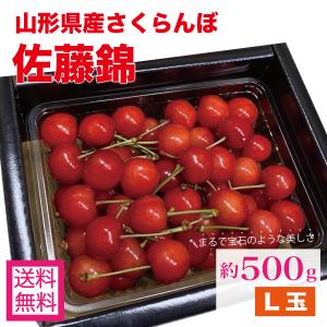 さくらんぼ 佐藤錦 山形県産 秀品 500g L玉 2L玉 バラ詰め 家庭用 贈答用 ギフト 桜桃 サクランボ 果物 くだもの フルーツ｜furusatofarm