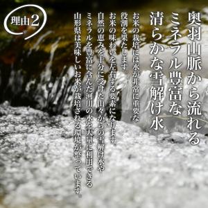精米 10kg (5kg×2) 令和7年産 特...の詳細画像4