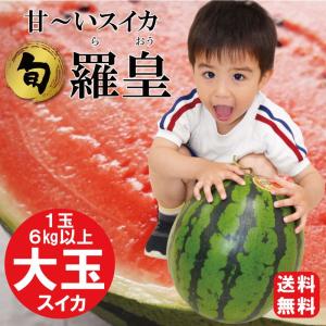秋スイカ すいか 羅皇  大玉 らおう 甘い 大きい 2L 糖度12度