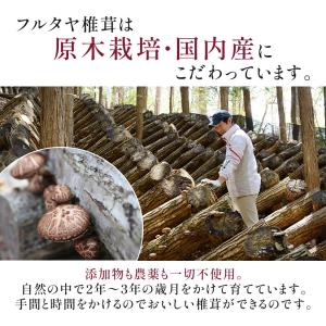 干し椎茸 国産 干ししいたけ 訳あり お得 逸...の詳細画像2