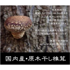 干し椎茸 国産 干ししいたけ 訳あり お得 逸...の詳細画像3