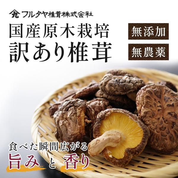 干し椎茸 国産  干ししいたけ 逸品 椎茸 無農薬 無添加 安心安全 原木 訳あり どんこ椎茸 セッ...