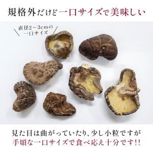干し椎茸 国産 干ししいたけ 逸品 椎茸 無農...の詳細画像1