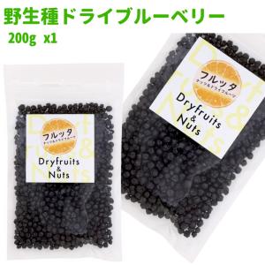 東洋ナッツ 野生種 ブルーベリー 110g×10袋入｜ 送料別 : 味園サポート