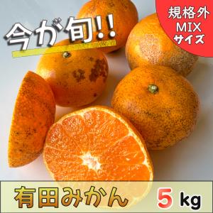 有田みかん 規格外 MIXサイズ 訳アリ 5kg 4.5kg+保証分500g 和歌山 ありだみかん ありた 甘い 美味しい 柑橘 産地直送 果物 くだもの フルーツ B級 家庭用 お得