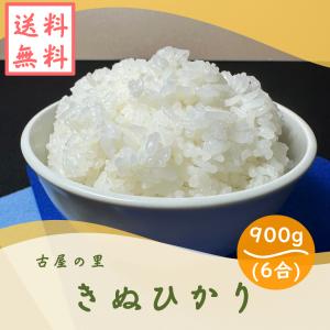 お米 6合 900g 令和6年度産 白米 きぬひかり 簡易無洗米 減農薬 ポスト投函 安い お試し ごはん コシヒカリのひ孫 冷めても美味しい すずちゅんのお米