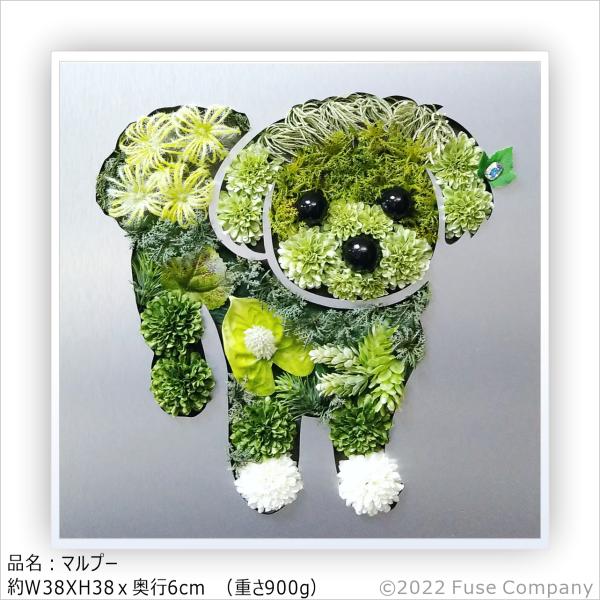 マルプー N 犬 いぬ 絵画 インテリア 油絵 観葉植物 フェイクグリーン 壁掛け ポスター 北欧 ...