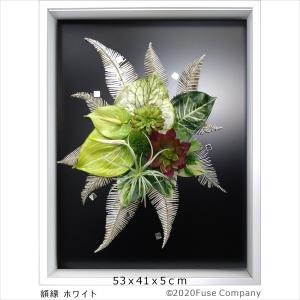 シダs 観葉植物 フェイクグリーン 人工 造花 壁掛け インテリア 多肉 アートパネル おしゃれ 絵画 プレゼント 新築 開店 結婚 誕生 祝い｜fuse-c