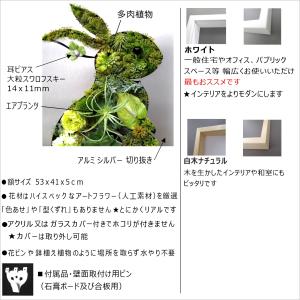 うさぎ 観葉植物 フェイクグリーン 絵画 イン...の詳細画像1