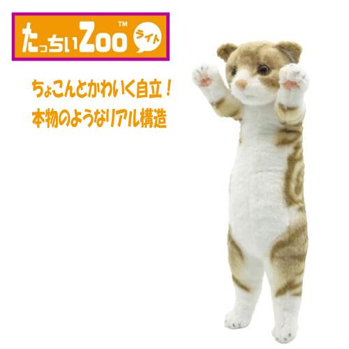 たっちぃZOO にゃんこ ライト スコティッシュフォールド ぬいぐるみ（ねこ ネコ プレゼント ギフ...