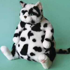 Cuddly(カドリー)小春(Koharu)☆この商品は日本国内販売の正規品です