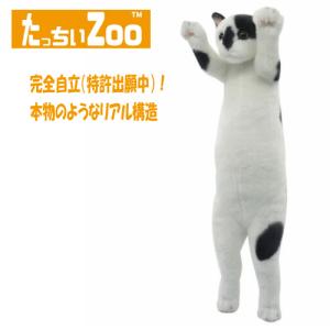 たっちぃZOO にゃんこ ぶち猫 ぬいぐるみ （ねこ ネコ 母の日 誕生日 新生活 就職 進級 進学）の商品画像