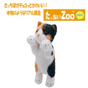 たっちぃZoo にゃんこ はちわれ たっちぃZOO ニャンコ ハチワレ 株式