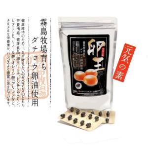 元気の素　卵王（1ケ月分 100カプセル）　卵油　 レシチン　国産