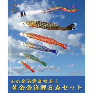 3m雲竜吹流ナイロン鯉のぼりポールスタンド付セット【どこでも