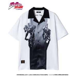 Jean Pierre Polnareff S...の詳細画像2