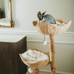 ペット 猫 キャットタワー キャットツリー キ...の詳細画像4