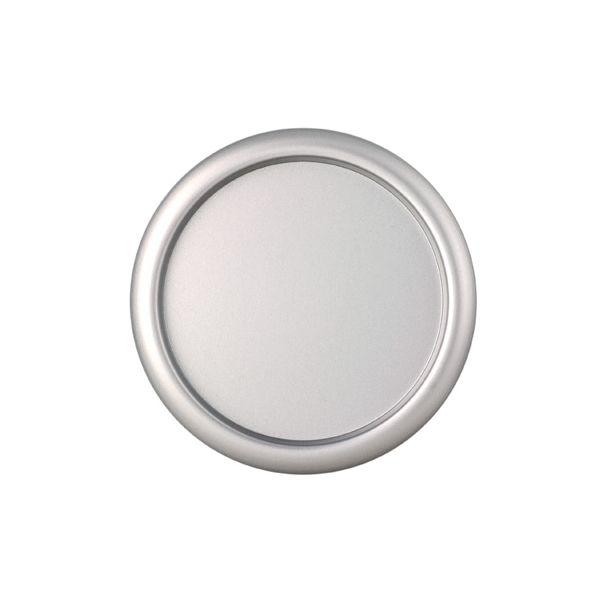 パールシルバー丸（大）