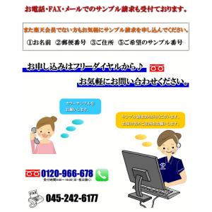 洋室建具HBカラーサンプル 12色の詳細画像4