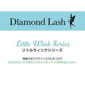 SBY正規代理店【今だけポイント10倍 】ダイ...の詳細画像1