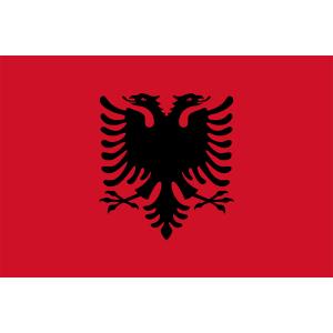 希少品！BIG アルバニア共和国国旗　東ヨーロッパ　ヴィンテージインダストリアル 外国旗】アルバニア共和国国旗（テトロントロピカル） サイズ：90