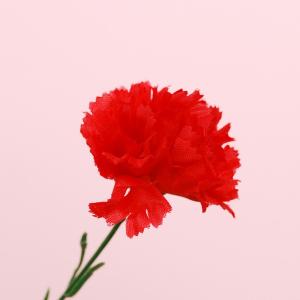 【母の日の造花】贈答用カーネーション ※シール...の詳細画像1