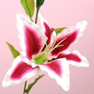 【シルクフラワー】カサブランカ(エンジ)【領収書発行】の商品画像