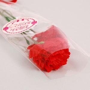 【母の日の造花】贈答用カーネーション 母の日【...の詳細画像1