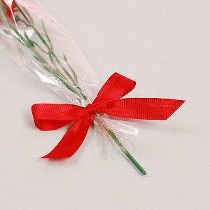 【母の日の造花】贈答用カーネーション 母の日【...の詳細画像2
