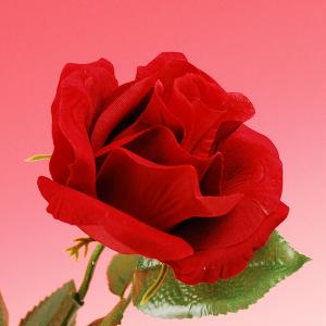 【シルクフラワー】ベルベットローズ(黄色)薔薇・...の商品画像