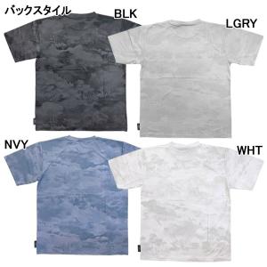 【ネコポス選択可】アールズコート Earls ...の詳細画像1