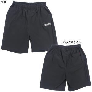 【ネコポス送料無料】 アールズコート Earl...の詳細画像1