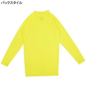 【ネコポス送料無料】アールズコート Earls...の詳細画像1