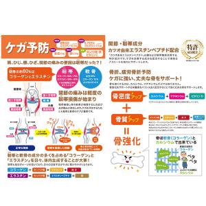 ノビタ プロ プロテイン NOBITA 750...の詳細画像3