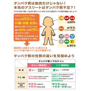 ノビタ プロ プロテイン NOBITA 750...の詳細画像4