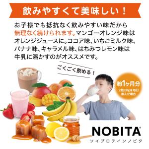 ノビタ プロテイン NOBITA ソイ プロテ...の詳細画像3