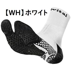 【ネコポス送料無料】 アクティバイタル プロ ...の詳細画像5