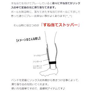 プレディ PLEADY セパレートソックス専用...の詳細画像1