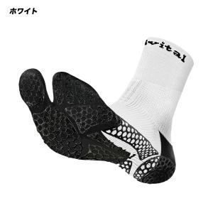 アクティバイタルプロ Activital PR...の詳細画像2