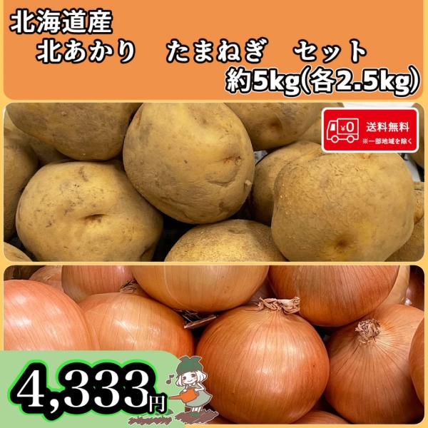 送料無料 常備野菜セット 北海道産 北あかり たまねぎ 5kg(各2.5kg) 北海道の味覚詰め合わ...